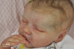 0579aurelia15