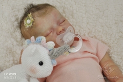 0579aurelia22