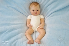 0580hugo21