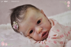 0587analivia20