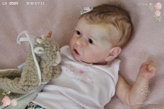 0589amalia11
