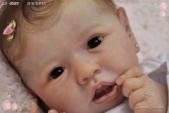 0589amalia22