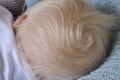 0612frederike15