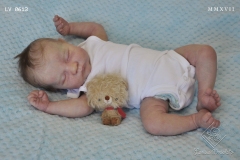 0613nicolas35