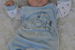 Nicholas