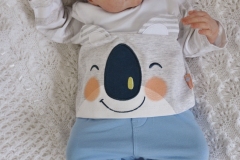 Davi