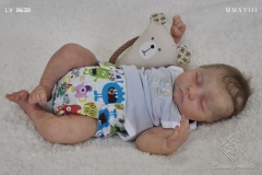0630davi10