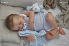 0630davi16
