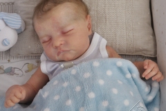 0630davi18