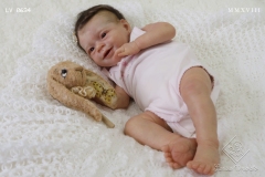 0634roberta21