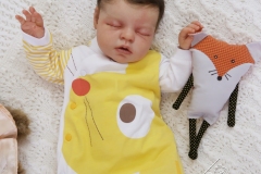 0639stella10