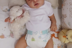 0639stella16