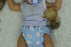 0643marcelo11