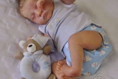 0646davi10