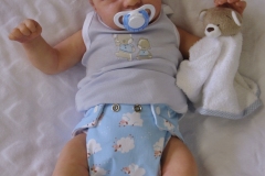 0646davi11