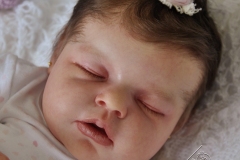 0654livia14