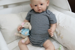 0665plinio05