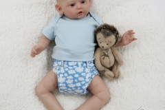 0665plinio07