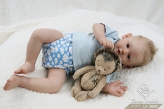 0665plinio09