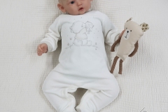 0665plinio11
