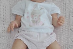 0667alice11