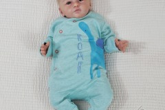 0670theo01