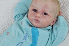 0670theo02