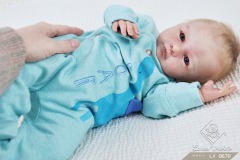 0670theo06