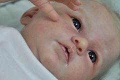 0670theo08