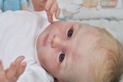 0670theo10