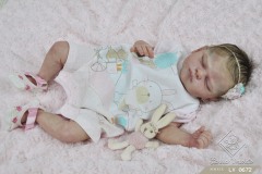 0672ayla22