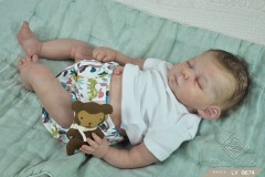 0674luy12
