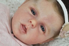0680amelia02