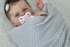 0680amelia08