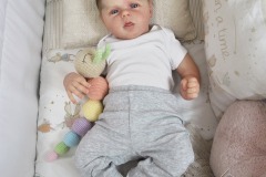 0680amelia12