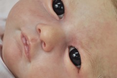 0684luiza12