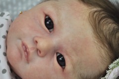 0684luiza14