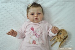 0687alice11