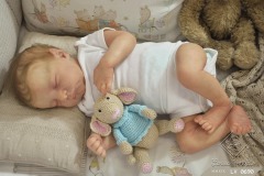 0690davi10