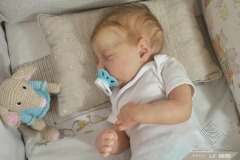 0690davi11