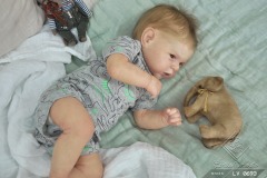 0693adan10