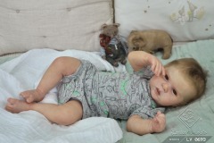 0693adan12