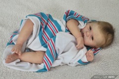 0693adan13