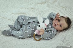 0699gi03