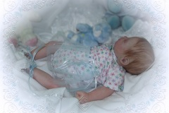 070aline03