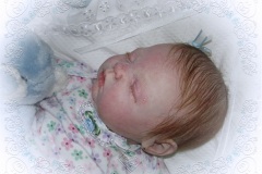 070aline05