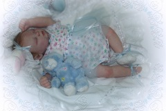 070aline08