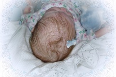 070aline12