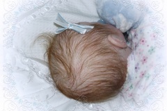 070aline13