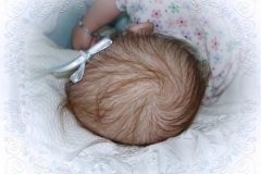 070aline14